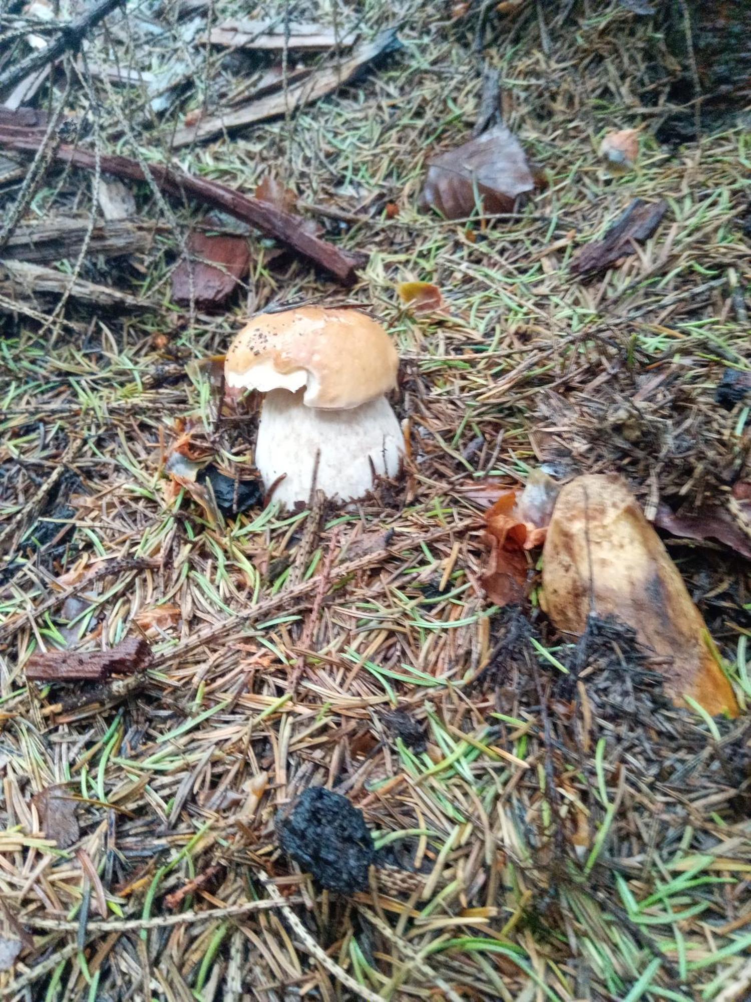 Sadyba U Vani Volovăţ Exterior foto