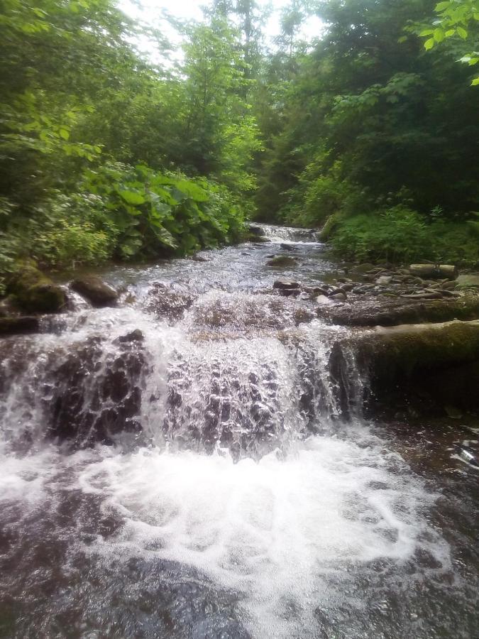 Sadyba U Vani Volovăţ Exterior foto
